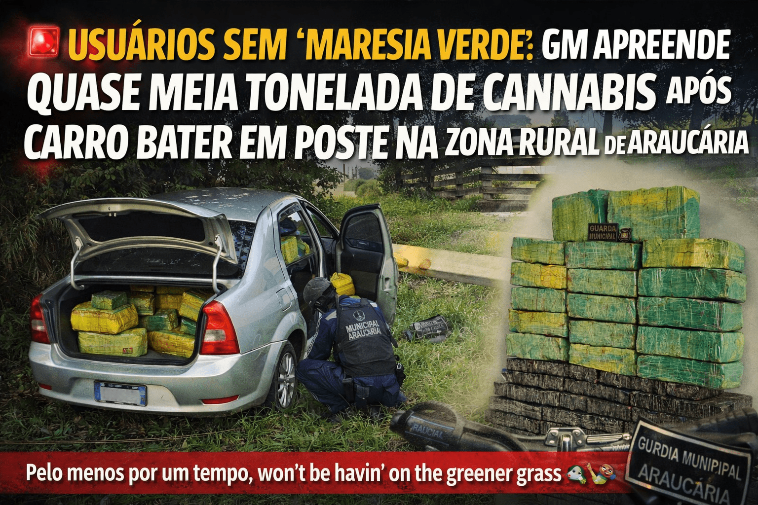 USUÁRIOS SEM “MARESIA VERDE”: GMA APREENDE QUASE MEIA TONELADA DE CANNABIS APÓS CARRO BATER EM POSTE NA ZONA RURAL DE ARAUCÁRIA