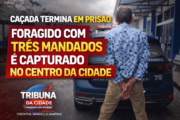 Caçada termina em prisão no centro