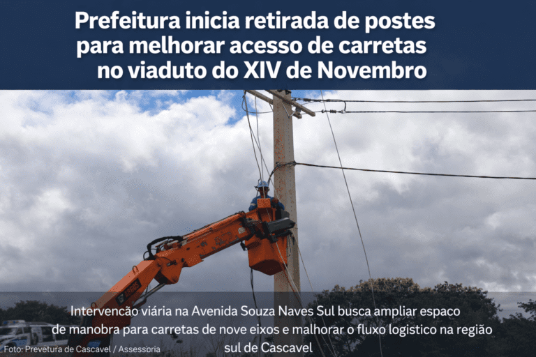 Retirada de postes no viaduto XIV de Novembro (1)